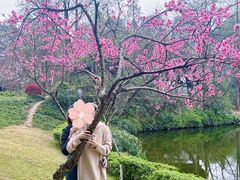 -重庆彩云湖湿地公园