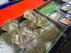 -席娜卡琳火车铁道夜市