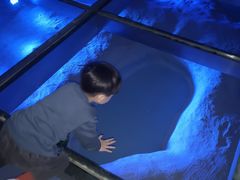 -青藏高原自然博物馆