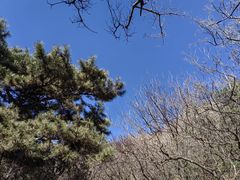-香山公园