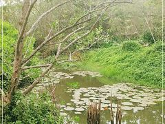 -白沙门生态公园