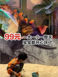 -恐龙探索乐园(磁器口店)