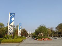 -东营·森林乐园