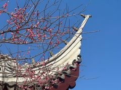 -无锡梅园公园