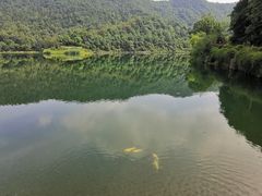 -桃花岭景区