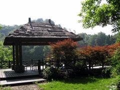 -千岛湖龙川湾