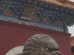-北陵公园