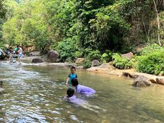 -广州白江湖森林公园