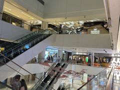 -岭南站NOVA
