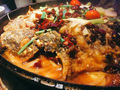 -老板恋上鱼(恒隆广场店)