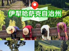 -新疆那拉提国家旅游度假区