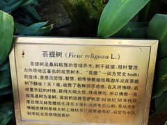 -北京植物园-展览温室