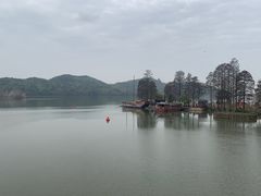 -东湖落雁景区