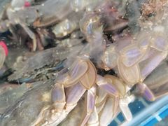 -宾朋海鲜美食餐厅·特色美食(兴海路店)