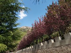 -石岛赤山风景区