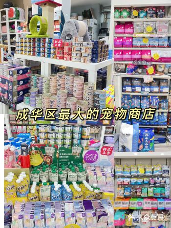 成都探店|理工大学最大的宠物店