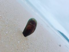 -碧桂园十里银滩