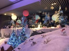 -上海外滩英迪格酒店