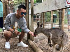 -费瑟代尔野生动物园