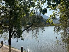 -九鲤湖风景区