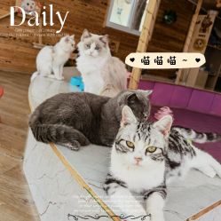 -萌宠亲子动物乐园(槐房万达店)