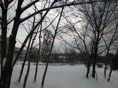 -世纪缘湖滨花园酒店(玄武湖店)