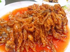 金毛狮子鱼-天然居文化美食城(浮阳大道店)