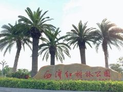 -宝安西湾红树林湿地公园