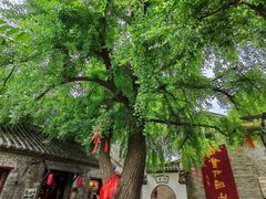 -天朝元辅-徐州民俗博物馆