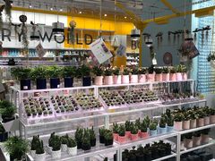 -KKV(深圳宏发大仟里店)