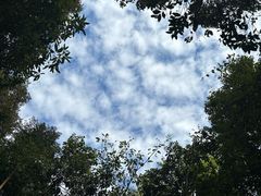 -普洱太阳河森林公园