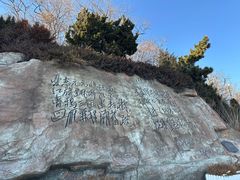 -棒棰岛宾馆景区