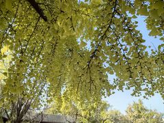 -北京石刻艺术博物馆(五塔寺)