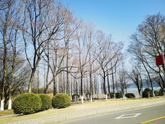 -云龙湖旅游景区