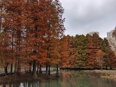 -白塘生态植物园