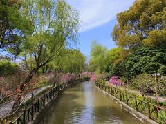 -南汇桃花村