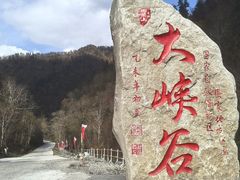 -凤凰山国家森林公园