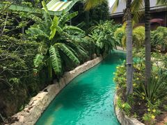 -亚马逊丛林水乐园