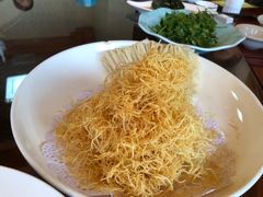 -丁老爷子苏香圆