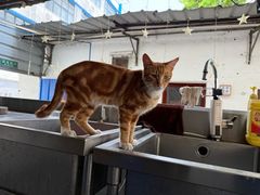 -光头佬室内钓虾场·烧烤·团建·亲子(中山八路店)