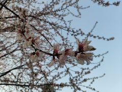 -北极寺公园