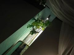 -泰乐道·SPA·按摩·足道(坡子街店)