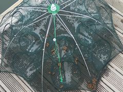 -千岛湖希尔顿休闲艇俱乐部