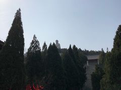 -龙口南山旅游景区