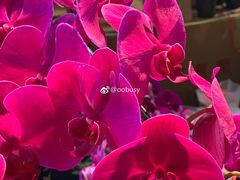 -天河体育中心
