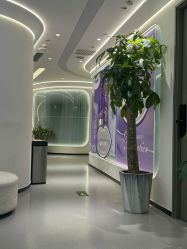 -联合丽格·张菡丽格医疗美容