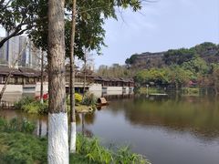 -重庆彩云湖湿地公园