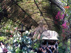 -The Grounds of Alexandria