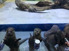 -华夏文旅海洋公园