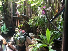 -自然餐厅(Phuket)